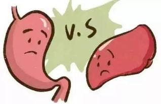 吃瓜吐了后发烧,揭秘夏季饮食健康隐患