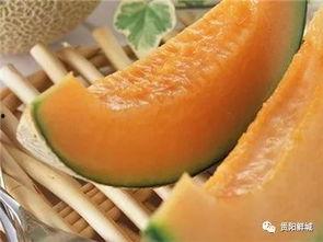 吃哈密瓜也是吃瓜,品味瓜中珍品，尽享“吃瓜”乐趣