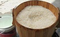 米酒的吃瓜大会,吃瓜大会欢乐多