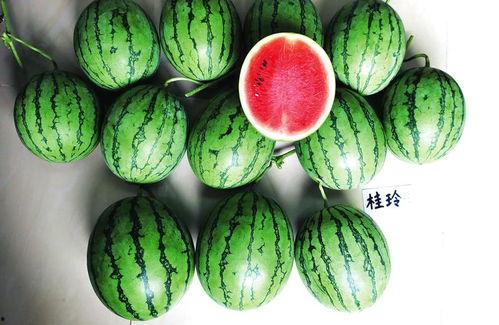 柳州吃瓜,探寻这座城市的“吃瓜”风情