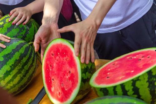 大学女的吃瓜,揭秘校园八卦背后的真相