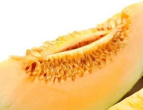 吃蜜瓜头晕,揭秘吃蜜瓜头晕之谜