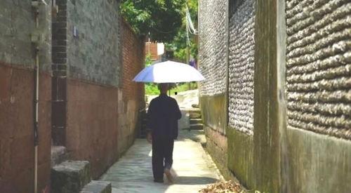 武康吃瓜事件,一场网络舆论的风暴与反思