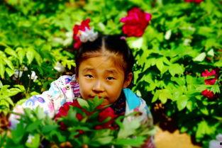 吃瓜花儿朵朵后续