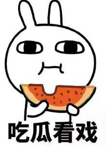 啥也不懂吃瓜,网络热词背后的文化现象