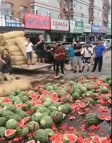 巍山县吃瓜事件