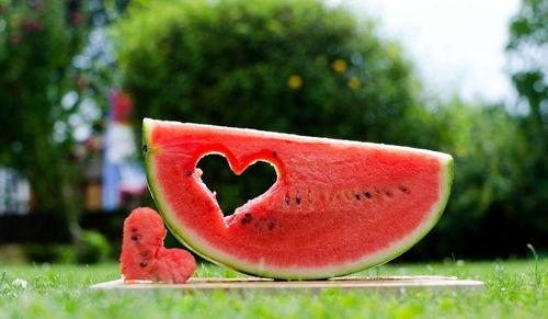 吃瓜清词,吃瓜群众视角下的娱乐圈风云录